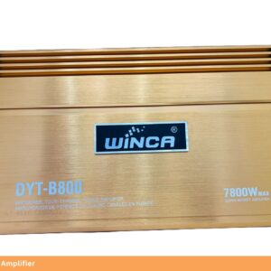 Winca DYT B800 Amplifier