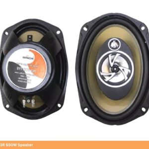 Winca DYT-6975 V3R 650W Speaker